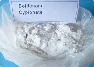 Polvo crudo Boldenone Cypionate (106505-90-2) Ace intrépido de la hormona de esteroides de la solución